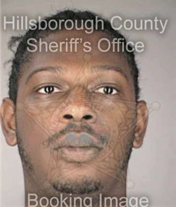 Andre Hunt, - Hillsborough County, FL 