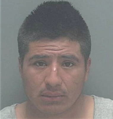 Gustavo Mendoza, - Lee County, FL 