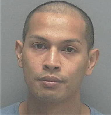 Marcos Pedro-Domingo, - Lee County, FL 