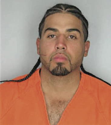 Carlos Sanchezgalindo, - Hillsborough County, FL 