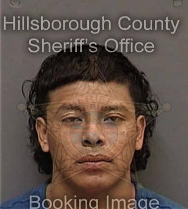 Nathanael Shattuck, - Hillsborough County, FL 