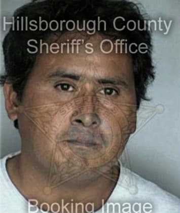 Matthew Bowyer - Hillsborough County, FL 
