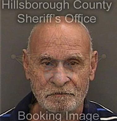 Giancarlo Castano, - Hillsborough County, FL 