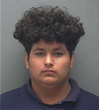 Elvin Cruz-Maequez, - Lee County, FL 