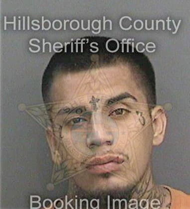 Steven Jedele, - Hillsborough County, FL 