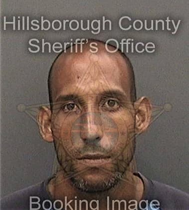 Christopher Owens, - Hillsborough County, FL 