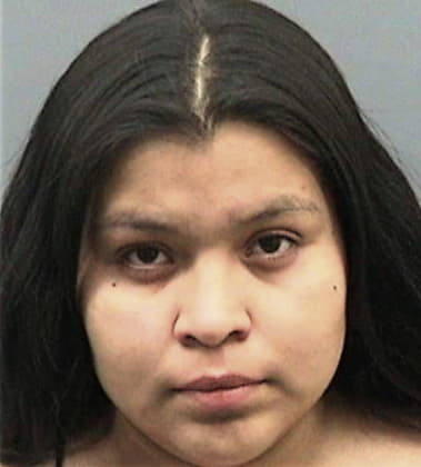 Yelaine Rodriguez, - Hillsborough County, FL 