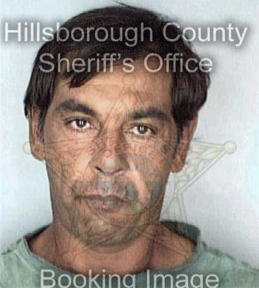 Alberto Villarreal, - Hillsborough County, FL 