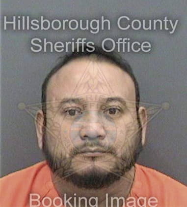 Hervin Alzate, - Hillsborough County, FL 