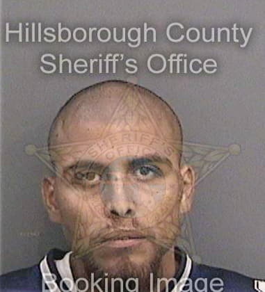 Pedro Benitezrosario, - Hillsborough County, FL 