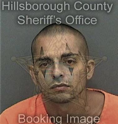 Michael Harren, - Hillsborough County, FL 