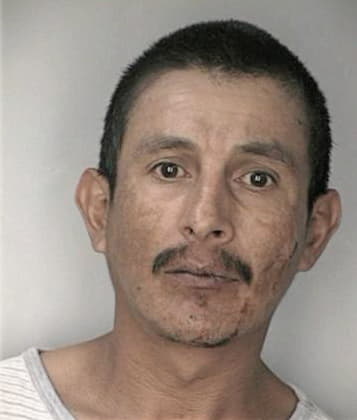 Gerardo Miranda - Hillsborough County, FL 