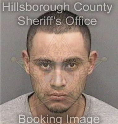 Cariannette Sanchez, - Hillsborough County, FL 