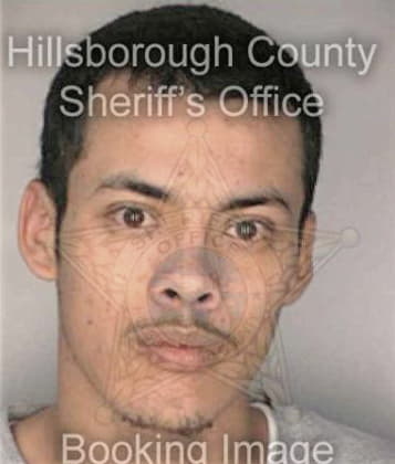 Ronalfo Serrano, - Hillsborough County, FL 