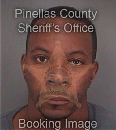 Michael Brinson, - Pinellas County, FL 