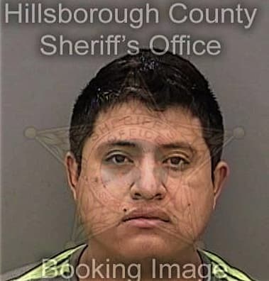 Khaled Ghoneim, - Hillsborough County, FL 