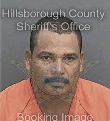 Christopher Hamilton, - Hillsborough County, FL 