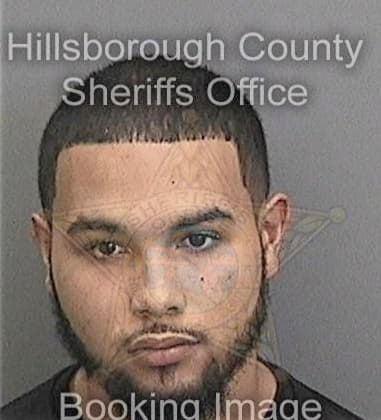 Ededino Martinezantonio, - Hillsborough County, FL 