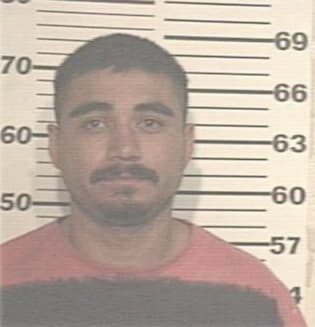 Julio-Ahmed McAll, - Hidalgo County, TX 