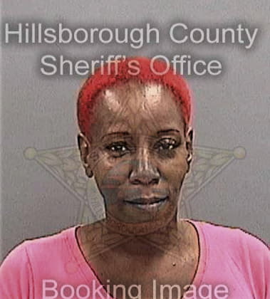 Tiffany McClellan - Hillsborough County, FL 