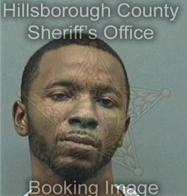 Ronald McGinty - Hillsborough County, FL 