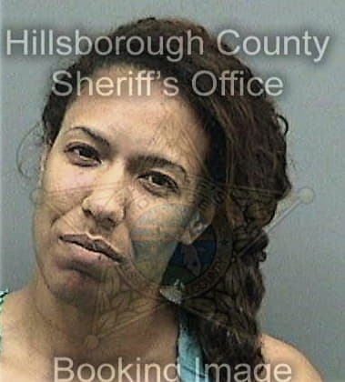 Debra Perryocbazion, - Hillsborough County, FL 