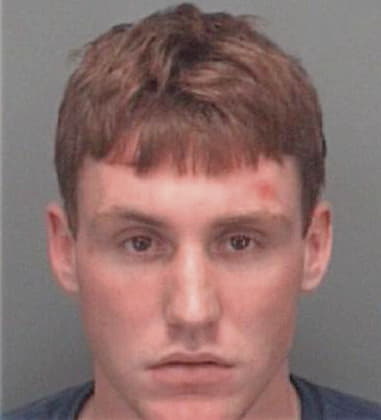 Joshua Shaw, - Pinellas County, FL 