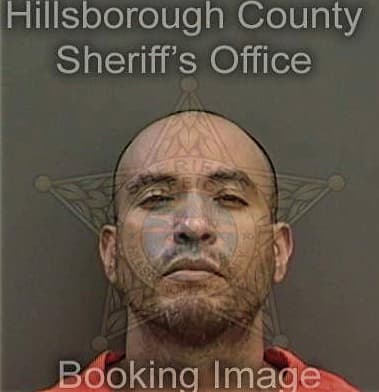 Iverson Bautista-Lopez, - Hillsborough County, FL 