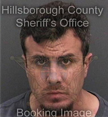 Dennis Guzman-Godoy, - Hillsborough County, FL 