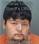 Ronald Hill, - Pinellas County, FL 