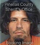 Arnold Ramirez-Mejia, - Pinellas County, FL 