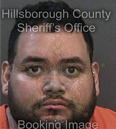 Nicholas Schrieber, - Hillsborough County, FL 