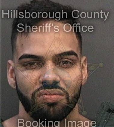 Zachary Swepson, - Hillsborough County, FL 