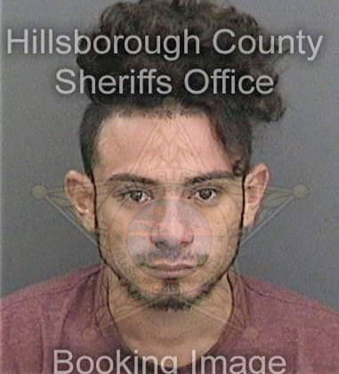 Steven Basenese, - Hillsborough County, FL 