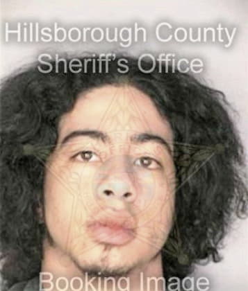 Vincente Bravonambo - Hillsborough County, FL 