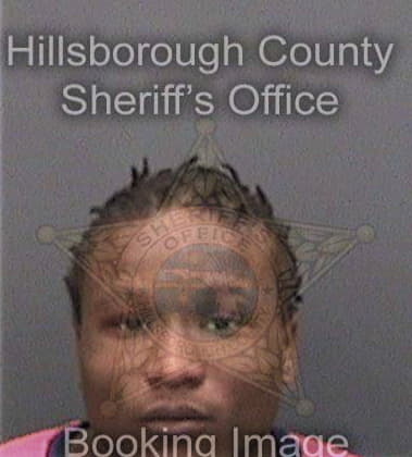 Harold Bridges - Hillsborough County, FL 