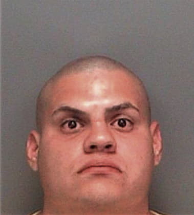 Noe Mazariegoslucas - Pinellas County, FL 