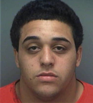 Gabriel Ortababines, - Pinellas County, FL 