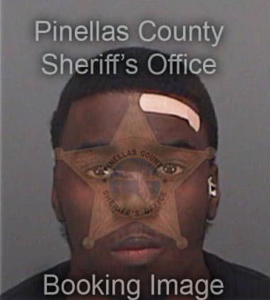 Derrion Rich, - Pinellas County, FL 