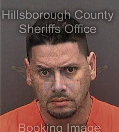 Edward Arevalorios, - Hillsborough County, FL 