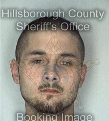 Alfred Bradley - Hillsborough County, FL 