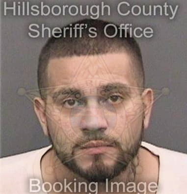 Fahd Fadilaalsabbagh, - Hillsborough County, FL 