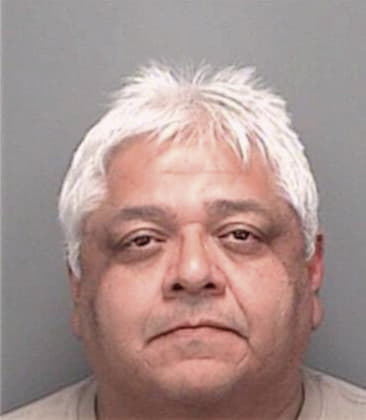 Luis Hernandez, - Pinellas County, FL 