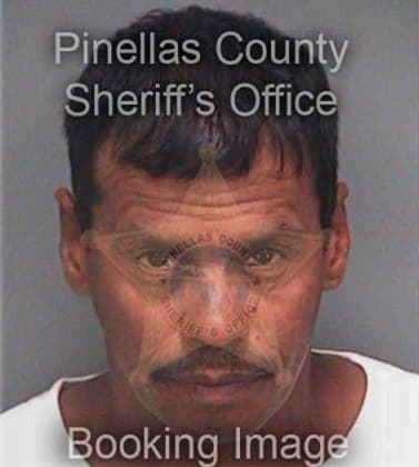 Pedro Perezperez, - Pinellas County, FL 