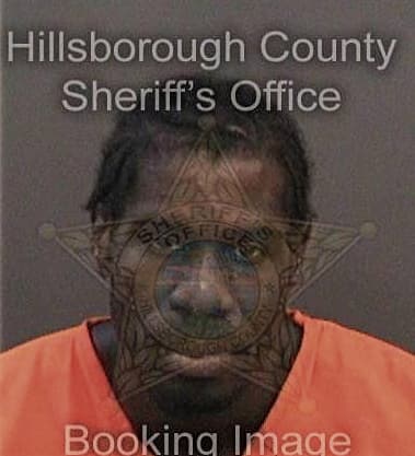 Jimonte Ashley, - Hillsborough County, FL 