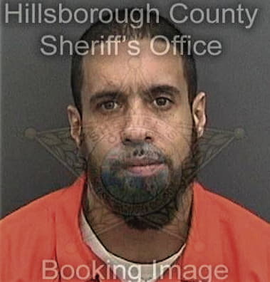 Daniel Batresreyes, - Hillsborough County, FL 