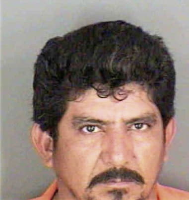Wayne Castagno - Collier County, FL 
