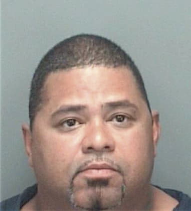 Carlos Garcia, - Pinellas County, FL 