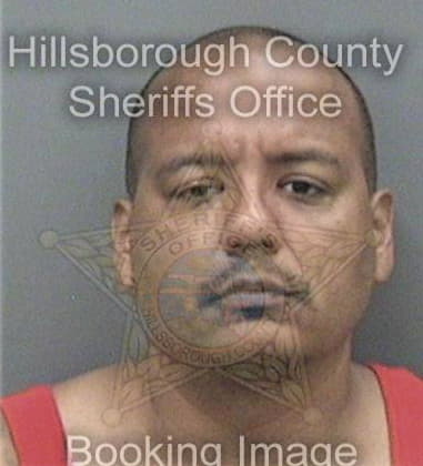 David Kelley, - Hillsborough County, FL 