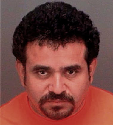 Raul Velazquezguzman, - Pinellas County, FL 